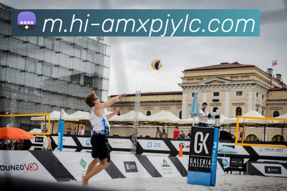 新葡京娱乐平台生态图